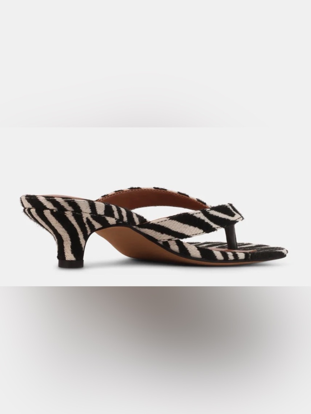 Tracie-z zebra - Picture 4 of 4